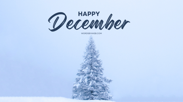 Blue White Aesthetic Hello December Facebook Post
